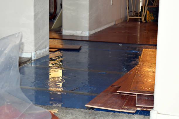 Professional Water Extraction technician working in Wayland, IA